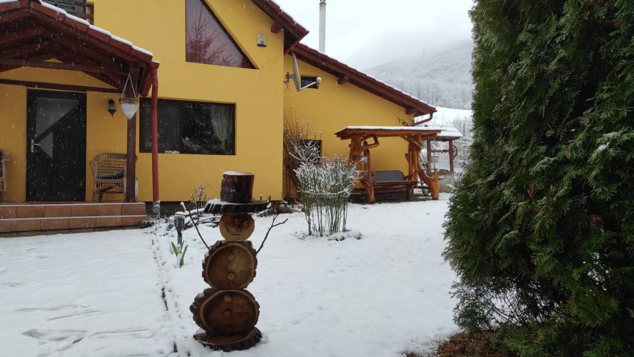 Home Away From Home Gura Raului Exterior photo